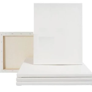 Combo 5pcs Canvas for Painting16/20