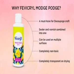 Fevicryl Modge Podge Gloss
