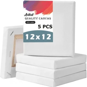 Canvas Board 12x12 Inch